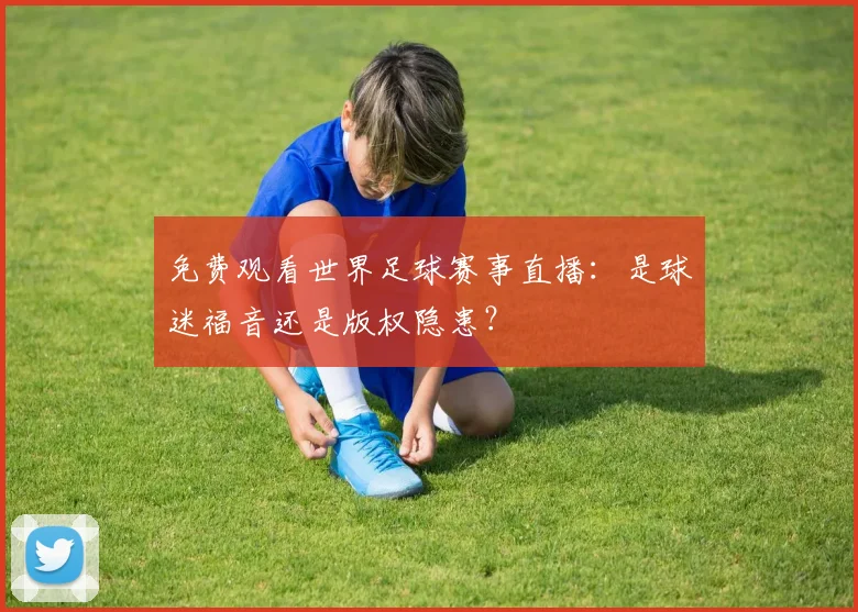 免费观看世界足球赛事直播：是球迷福音还是版权隐患？