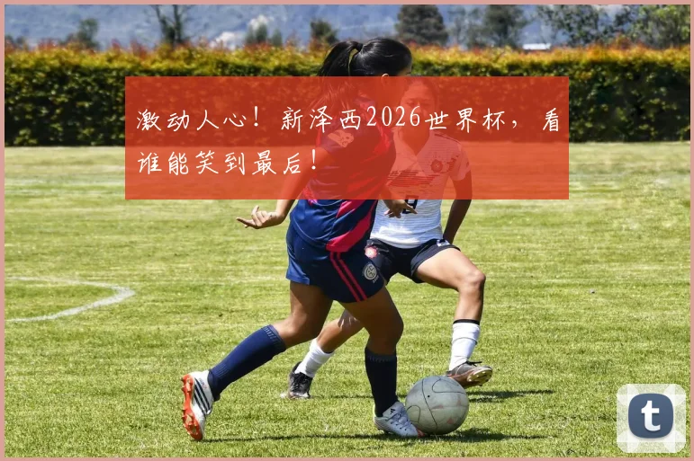 激动人心！新泽西2026世界杯，看谁能笑到最后！